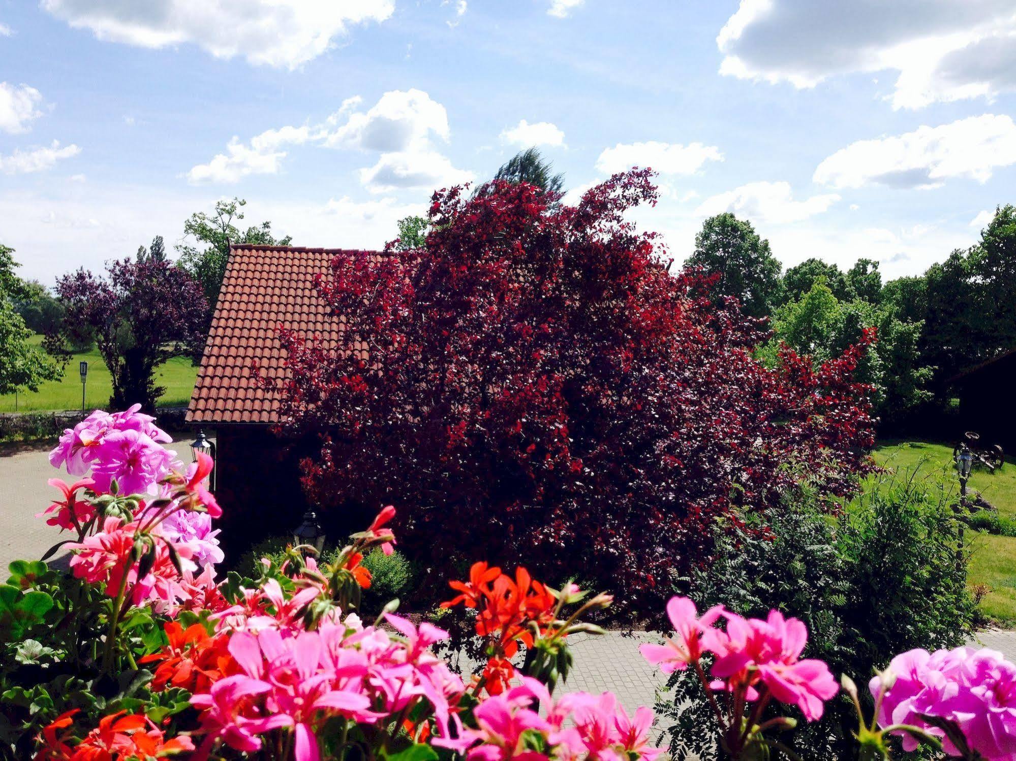 Hotel & Restaurant Zur Spreewaelderin Golssen ภายนอก รูปภาพ
